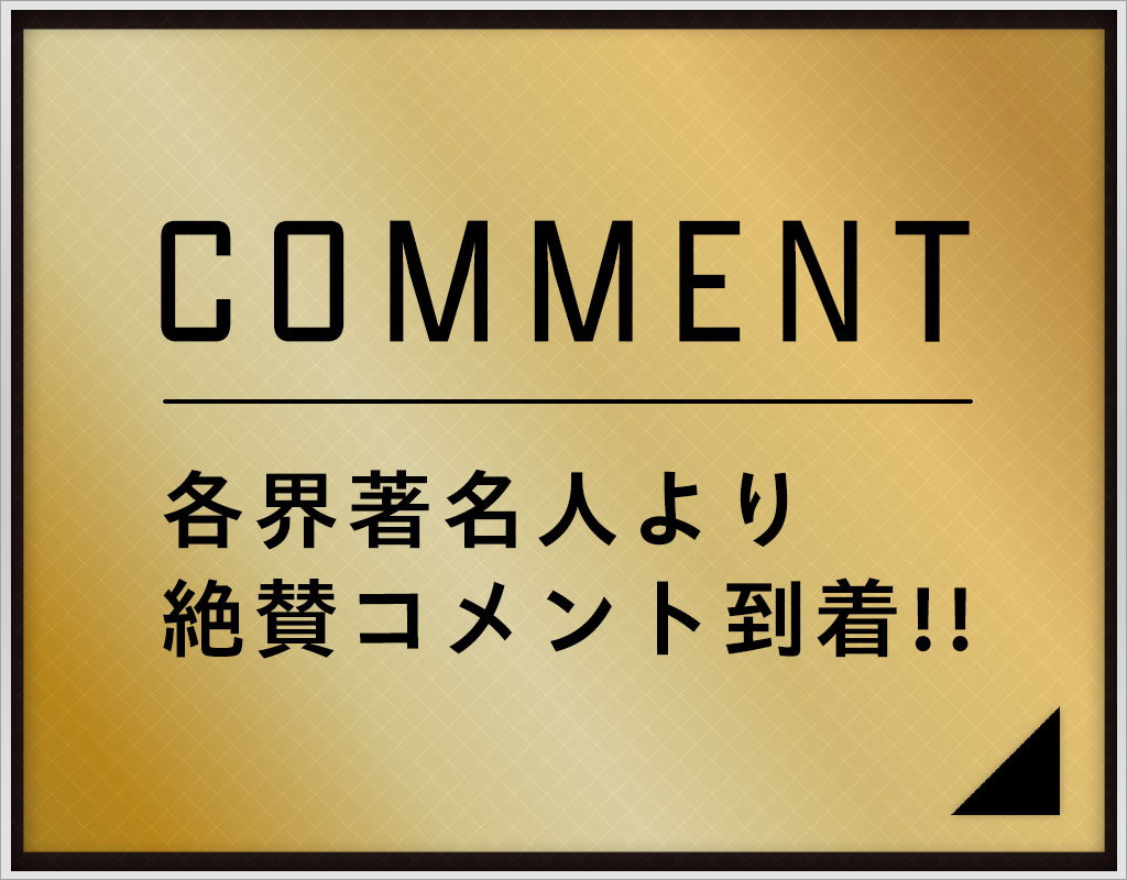 COMMENT