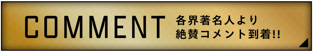 COMMENT